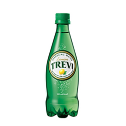 롯데)트레비레몬500ML